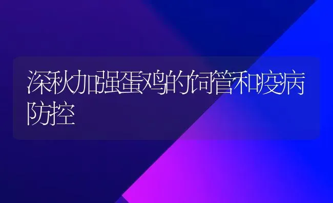 深秋加强蛋鸡的饲管和疫病防控 | 家禽养殖