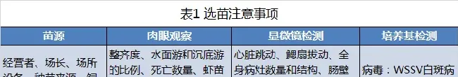 放苗高峰季，战友，请收下这本“虾苗保苗宝典”