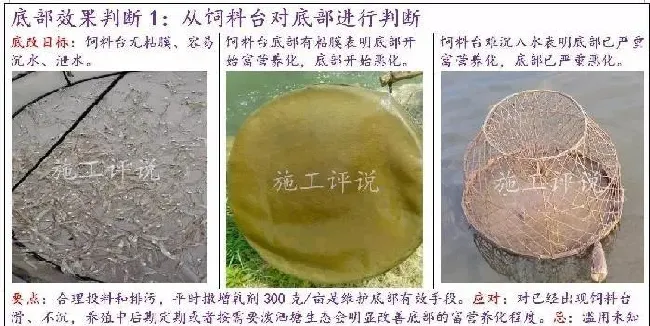 池塘底改是个很高深的问题吗？养殖户朋友能不能简单地底改？