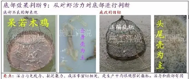 池塘底改是个很高深的问题吗？养殖户朋友能不能简单地底改？