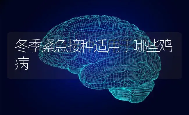 冬季紧急接种适用于哪些鸡病 | 家禽养殖