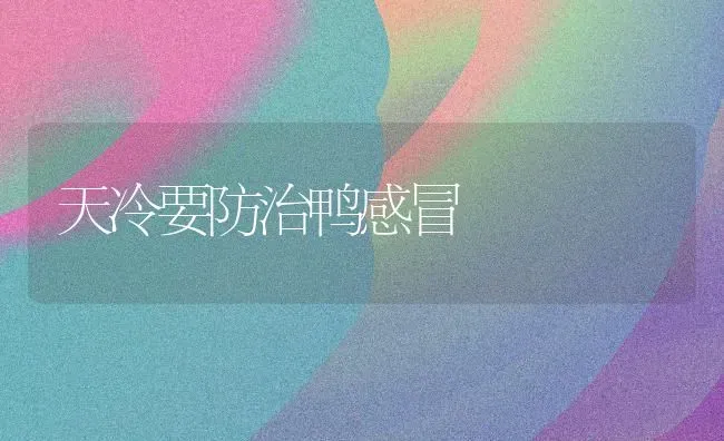 天冷要防治鸭感冒 | 家禽养殖
