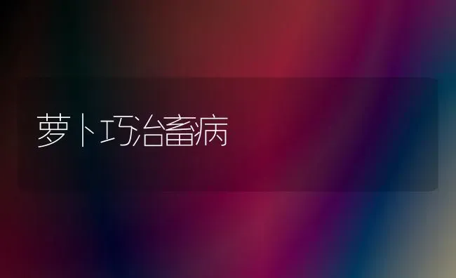萝卜巧治畜病 | 家畜养殖