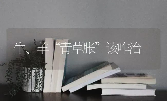 牛、羊“青草胀”该咋治 | 家畜养殖