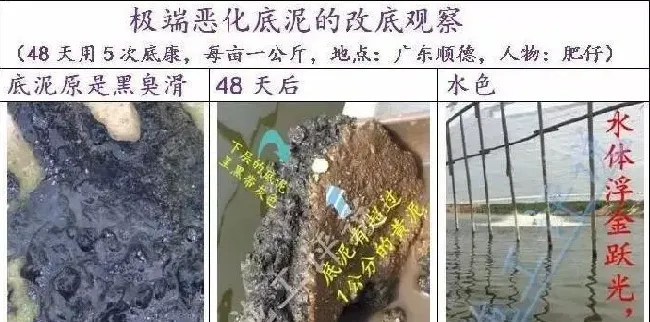 池塘底改是个很高深的问题吗？养殖户朋友能不能简单地底改？