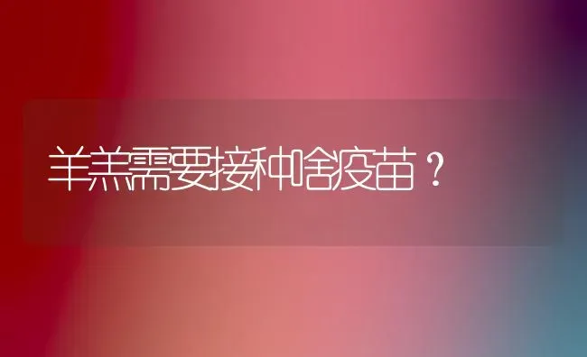 羊羔需要接种啥疫苗？ | 家畜养殖
