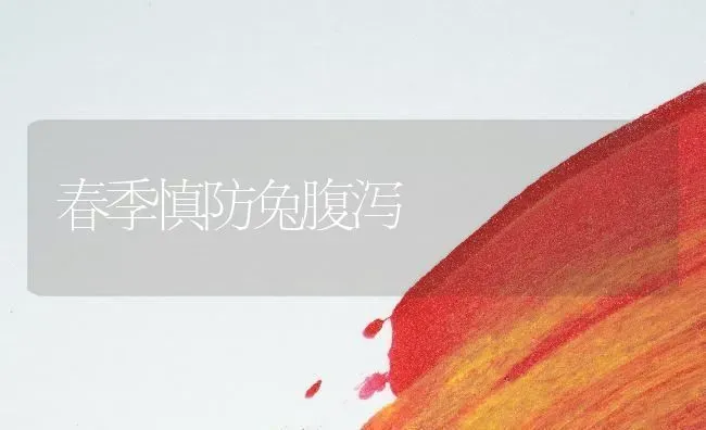 春季慎防兔腹泻 | 家畜养殖