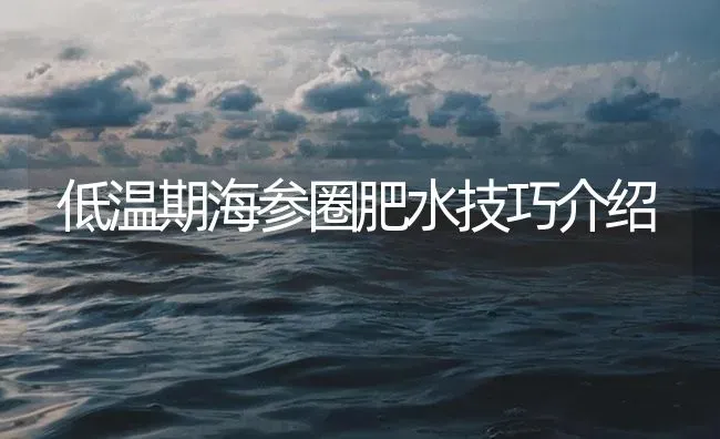 低温期海参圈肥水技巧介绍 | 海水养殖