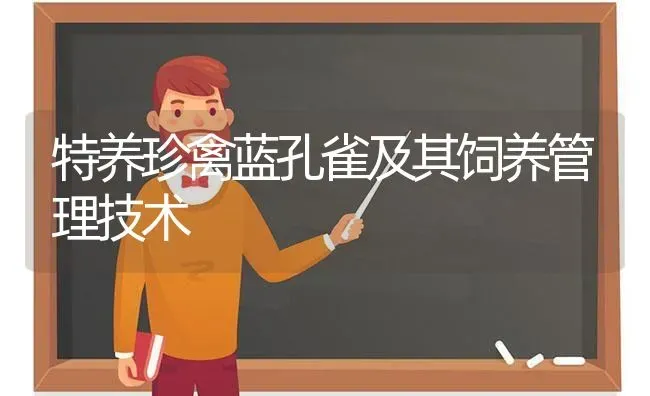 特养珍禽蓝孔雀及其饲养管理技术 | 家禽养殖