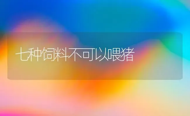 土鸡巧饲养味美又快长 | 家禽养殖