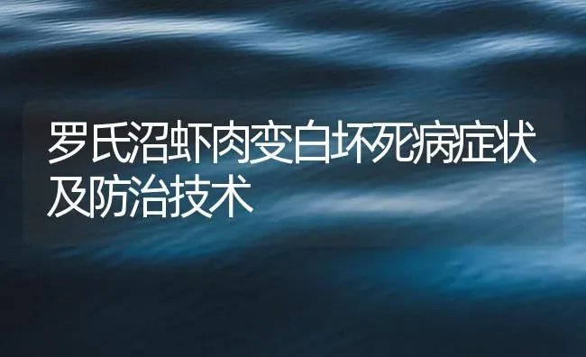 罗氏沼虾肉变白坏死病症状及防治技术 | 海水养殖