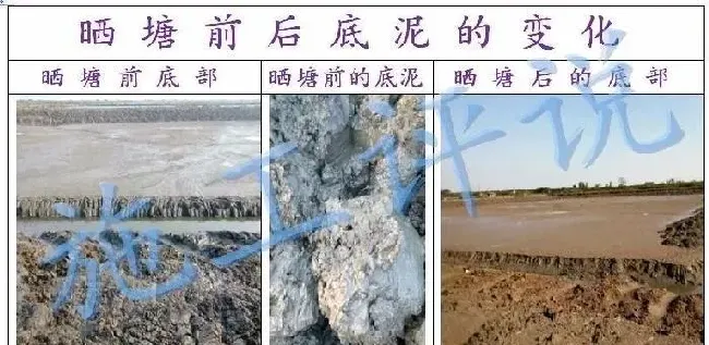池塘底改是个很高深的问题吗？养殖户朋友能不能简单地底改？
