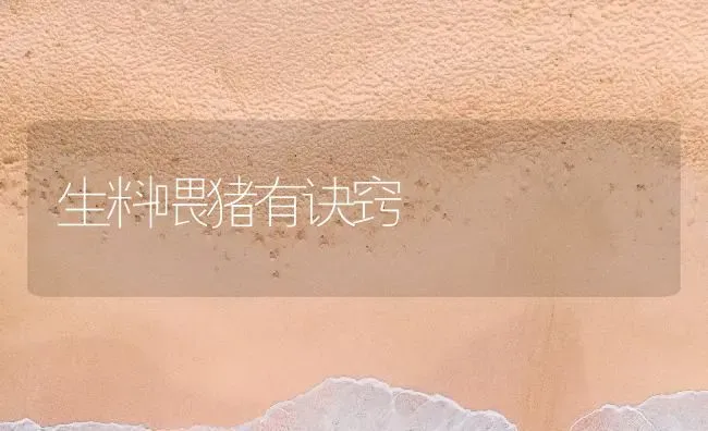 生料喂猪有诀窍 | 家畜养殖