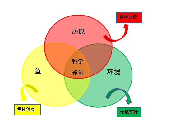 掌握了降温前后的健康管理要点，加州鲈越冬不用愁！