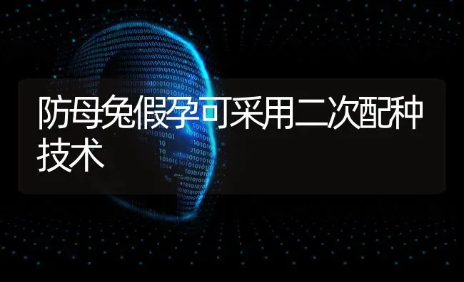 防母兔假孕可采用二次配种技术 | 家畜养殖