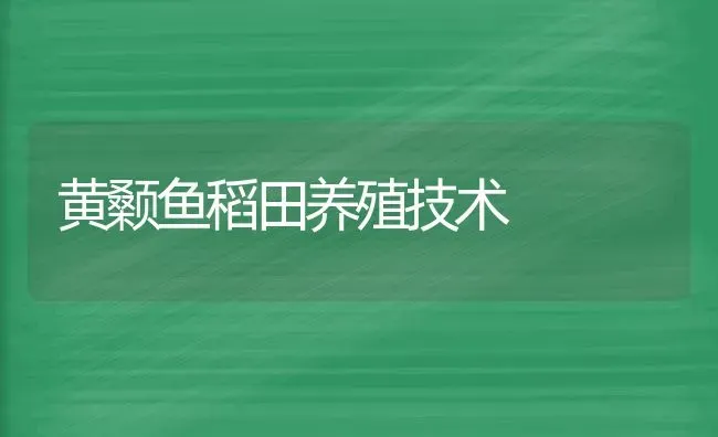 黄颡鱼稻田养殖技术 | 淡水养殖