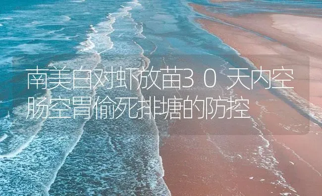 南美白对虾放苗30天内空肠空胃偷死排塘的防控 | 海水养殖