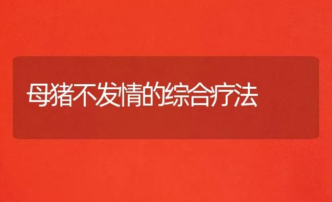 母猪不发情的综合疗法 | 家畜养殖