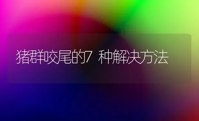 猪群咬尾的7种解决方法 | 家畜养殖