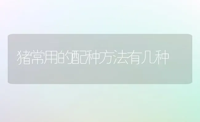 猪常用的配种方法有几种 | 家畜养殖
