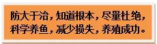 黄颡鱼养殖户如何预防早春水霉病烂皮病