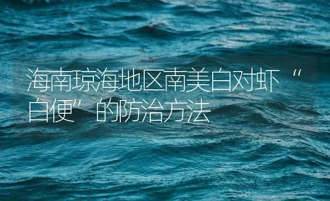 海南琼海地区南美白对虾“白便”的防治方法 | 海水养殖