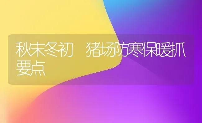 秋末冬初 猪场防寒保暖抓要点 | 家畜养殖