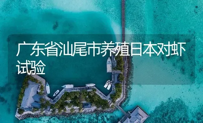 广东省汕尾市养殖日本对虾试验 | 海水养殖