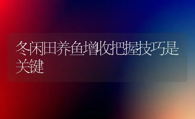 冬闲田养鱼增收把握技巧是关键 | 淡水养殖