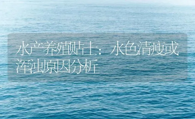 水产养殖贴士：水色清瘦或浑浊原因分析 | 动物养殖百科