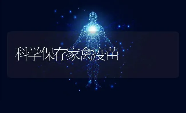 科学保存家禽疫苗 | 家禽养殖