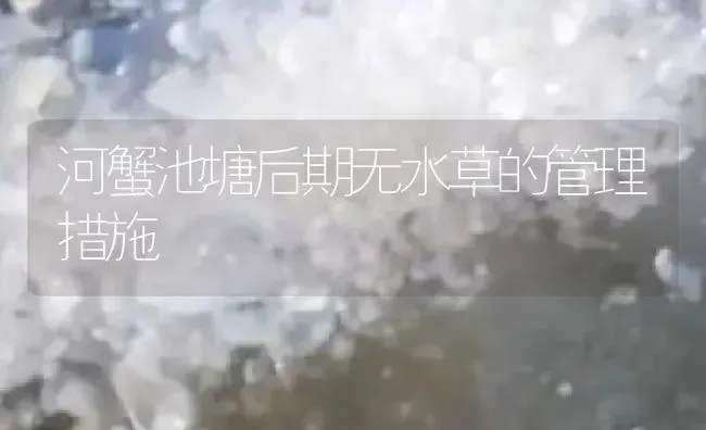 河蟹池塘后期无水草的管理措施 | 淡水养殖