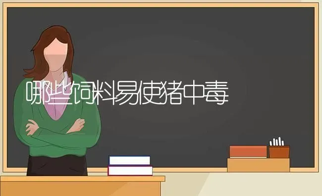 哪些饲料易使猪中毒 | 家畜养殖