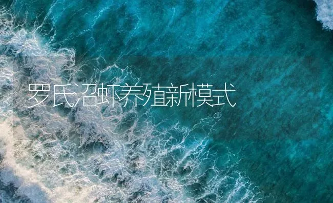 罗氏沼虾养殖新模式 | 海水养殖