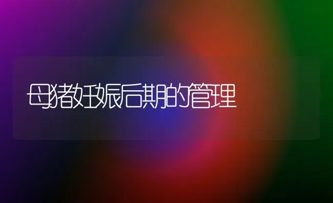 母猪妊娠后期的管理 | 家畜养殖