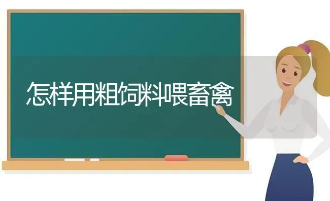 怎样用粗饲料喂畜禽 | 动物养殖饲料