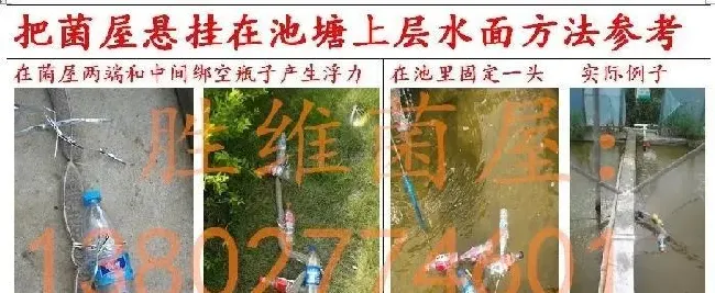 养殖水体常见有那些生物化学反应之沉淀反应和水质的关系