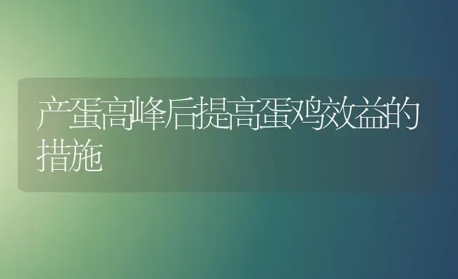 产蛋高峰后提高蛋鸡效益的措施 | 家禽养殖