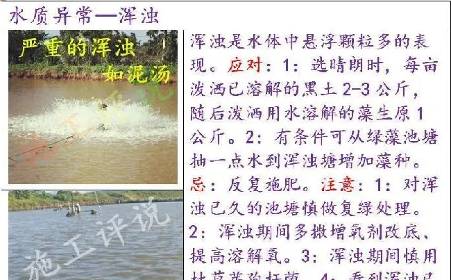 养殖水体常见有那些生物化学反应之沉淀反应和水质的关系