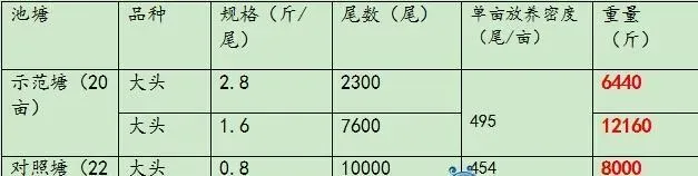 鲫鱼和花鲢混养塘分台投喂 每亩多挣两千五百块