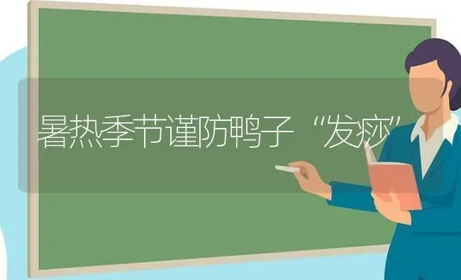 暑热季节谨防鸭子“发痧” | 家禽养殖