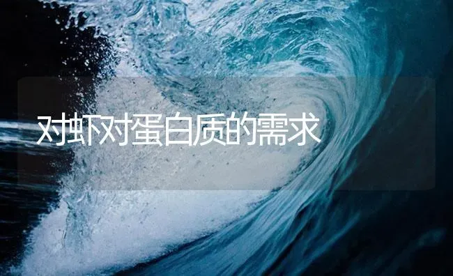 对虾对蛋白质的需求 | 海水养殖