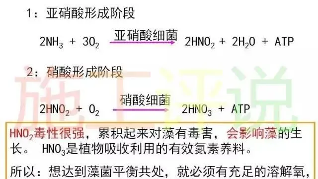 养殖水体亚硝酸盐、氨氮为什么会高？