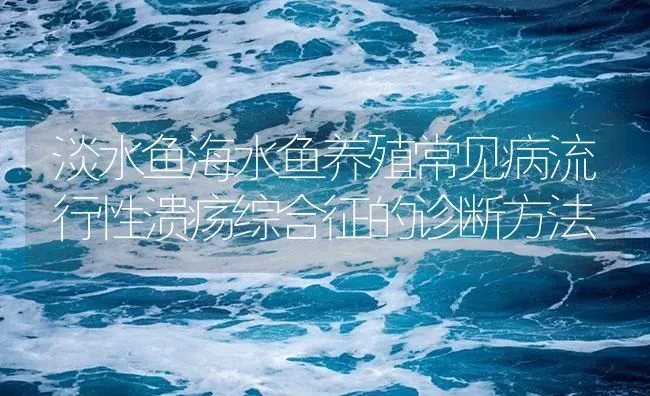 淡水鱼海水鱼养殖常见病流行性溃疡综合征的诊断方法 | 养殖病虫害防治