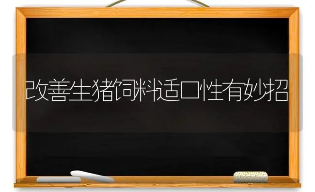 改善生猪饲料适口性有妙招 | 家畜养殖