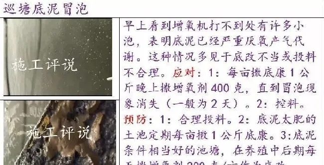 池塘底改是个很高深的问题吗？养殖户朋友能不能简单地底改？