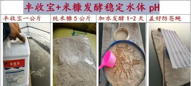 冬天水温低，冬棚虾、工厂化对虾、投苗前期换水少怎么稳定水质