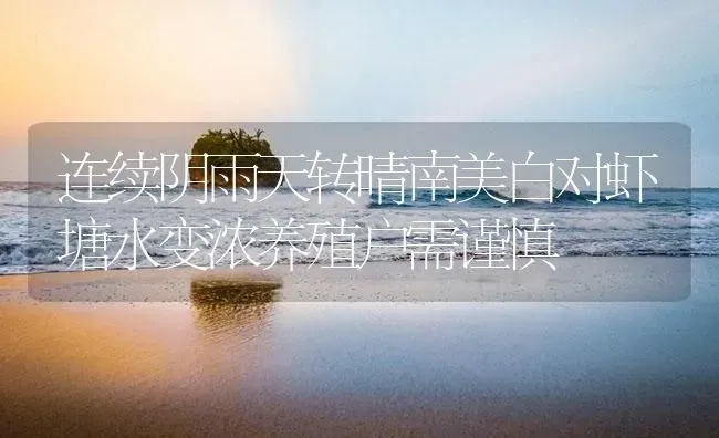 连续阴雨天转晴南美白对虾塘水变浓养殖户需谨慎 | 海水养殖