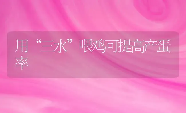 用“三水”喂鸡可提高产蛋率 | 家禽养殖