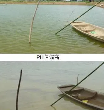 养殖南美白对虾，你必须了解“pH值”这个指标